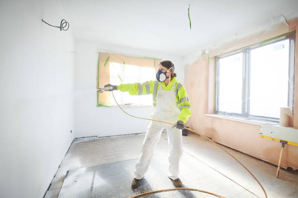 Trusted Belle Rose, LA Mold Removal Experts